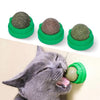 Cat-Nip Balls