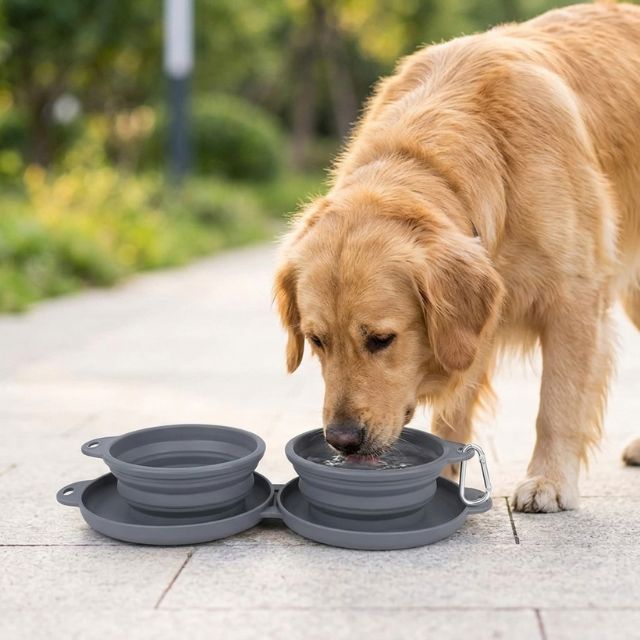 Foldable Dog Diner Set