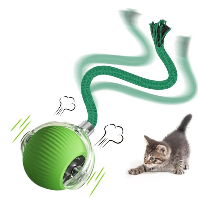 Active Cat Rolling Ball