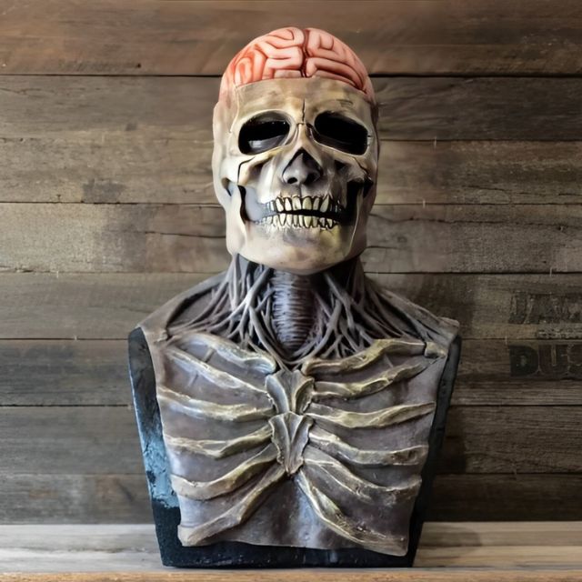 Full Head Skeleton Halloween Mask