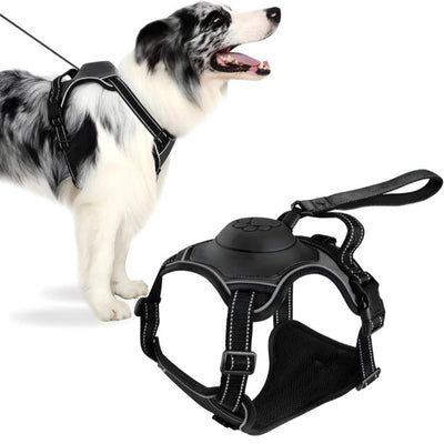 Dog Harness with Retractable Leash