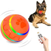 Interactive Play Ball for Pups
