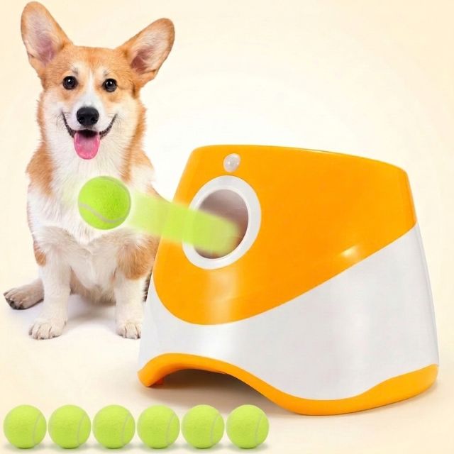Automatic Dog Ball Launcher