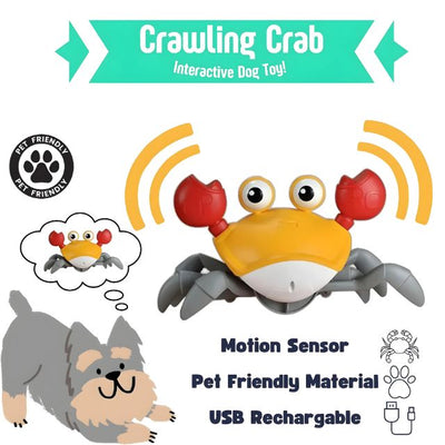 Crawling Crab - Interactive Toy for Pups