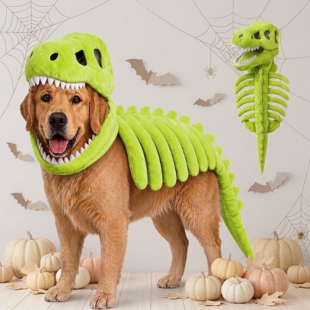 Dinosaur Skeleton Pup Costume