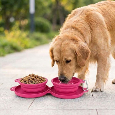 Foldable Dog Diner Set