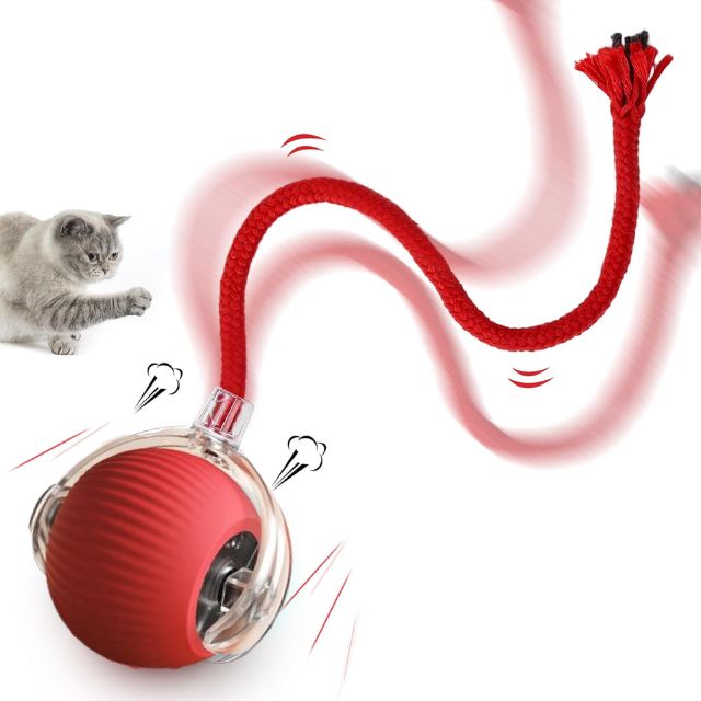 Active Cat Rolling Ball