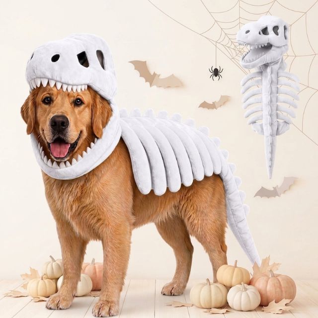 Dinosaur Skeleton Pup Costume