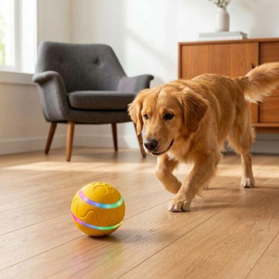 Interactive Dog Ball - Smart Toy for Pups