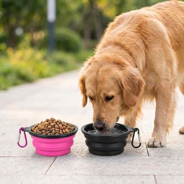 Foldable Dog Diner Set