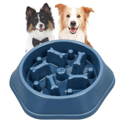 Slow Feeder Dog Bowl