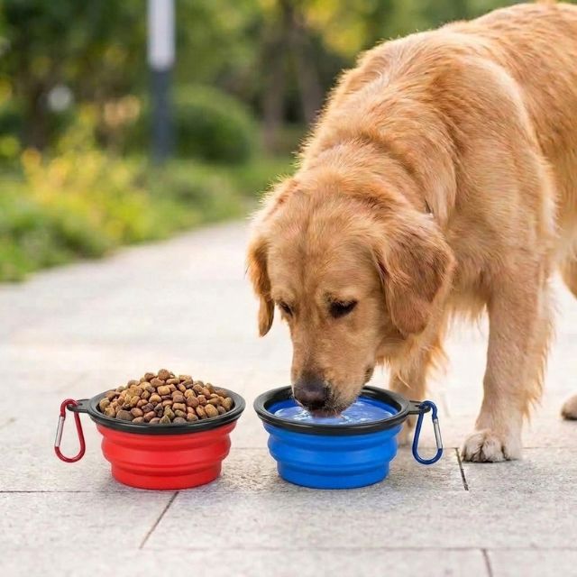 Foldable Dog Diner Set
