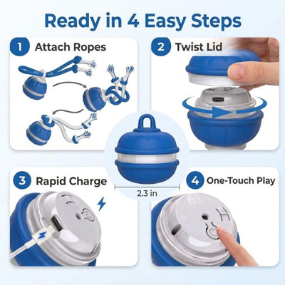 PupRoll Interactive Ball
