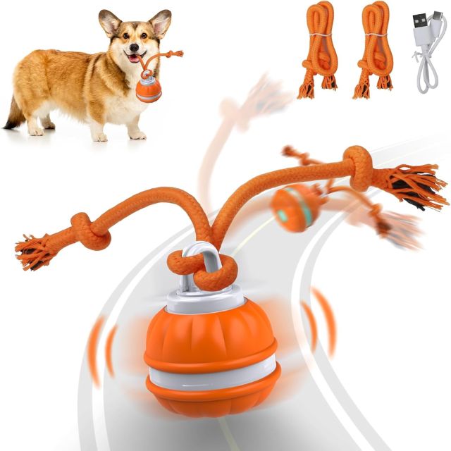 Interactive Rolling Ball for Dog