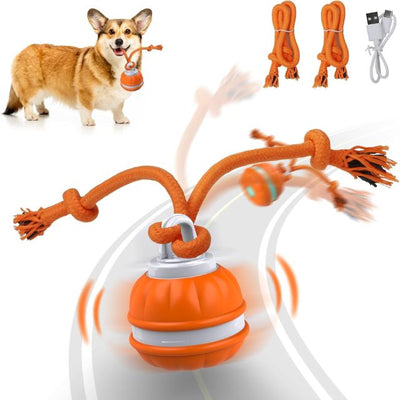 Interactive Rolling Ball for Dog
