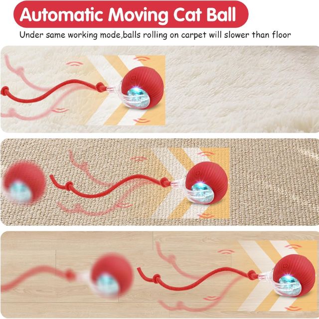 Active Cat Rolling Ball