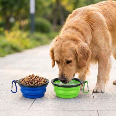Foldable Dog Diner Set