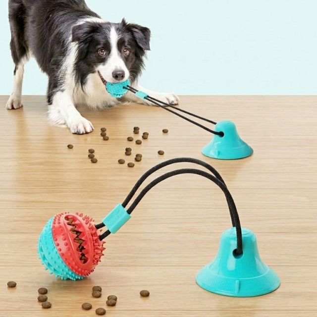Doggy Suction Cup Ropes - Perfect for Aggressive Chewers