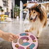 Dog Food Puzzle Feeder Toy