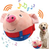 Bouncing Piggy - Interactive Dog Toy