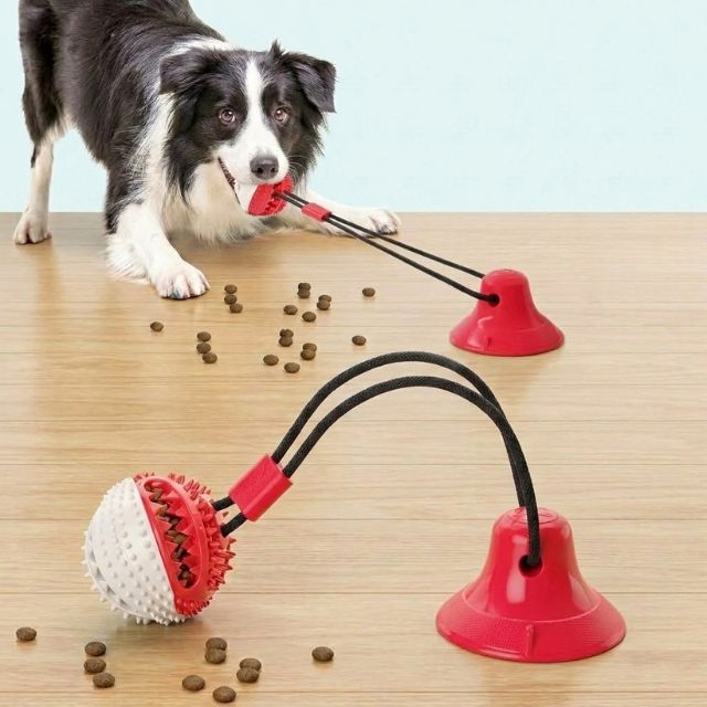 Doggy Suction Cup Ropes - Perfect for Aggressive Chewers