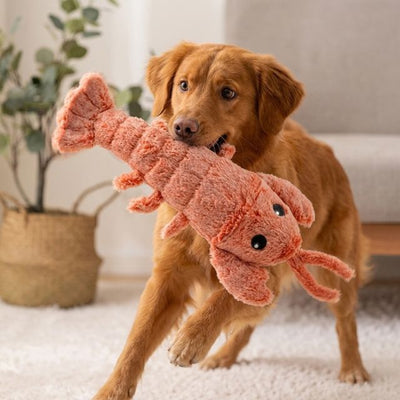Floppy Lobster - Interactive Dog Toy