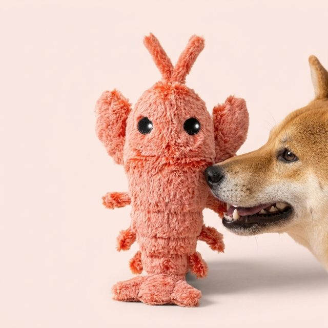 Floppy Lobster - Interactive Dog Toy