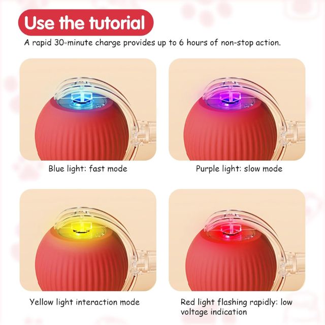 Active Cat Rolling Ball