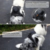 Dog Harness with Retractable Leash