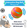 Interactive Dog Ball - Smart Toy for Pups