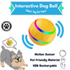 Interactive Dog Ball - Smart Toy for Pups