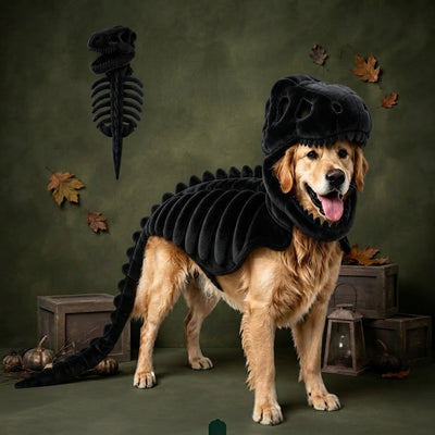 Halloween Skeleton Dinosaur Pup Costume