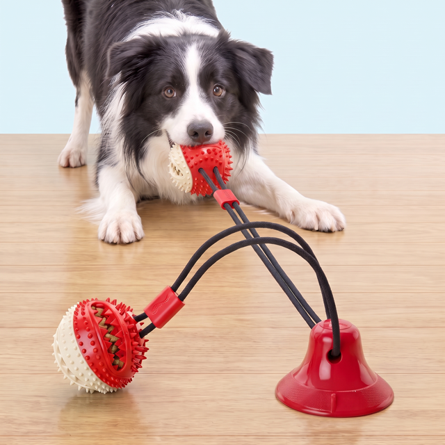 Doggy Suction Cup Ropes - Perfect for Aggressive Chewers