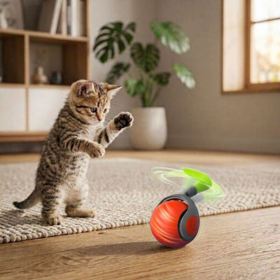 Interactive Rolling Ball - Smart Toy for Kitty