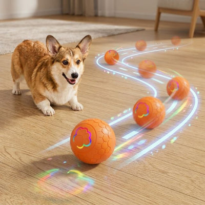 Interactive Dog Toy Ball