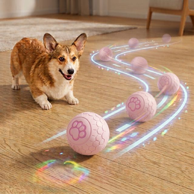 Interactive Dog Toy Ball