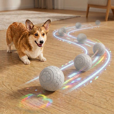 Interactive Dog Toy Ball