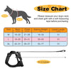 Dog Harness with Retractable Leash