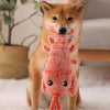 Floppy Lobster - Interactive Dog Toy