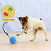 Active Rolling Ball - Interactive Dog Toy