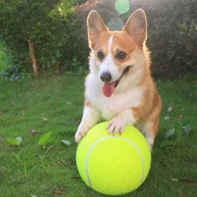 Giant Tennis Ball