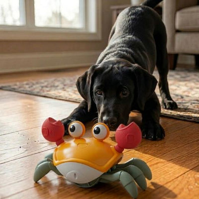 Crawling Crab - Interactive Toy for Pups
