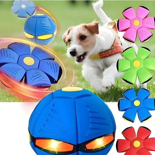 Doggy Disc Ball - Interactive Toy for Pups - KitcHome+