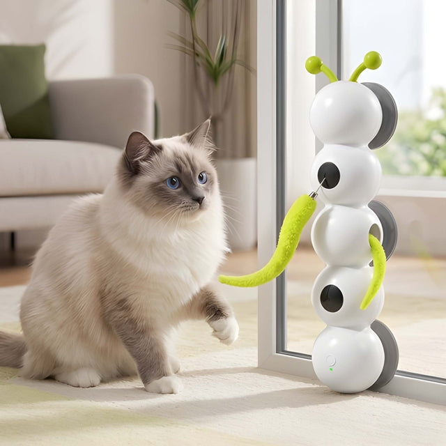 Interactive Caterpillar Cat Toy