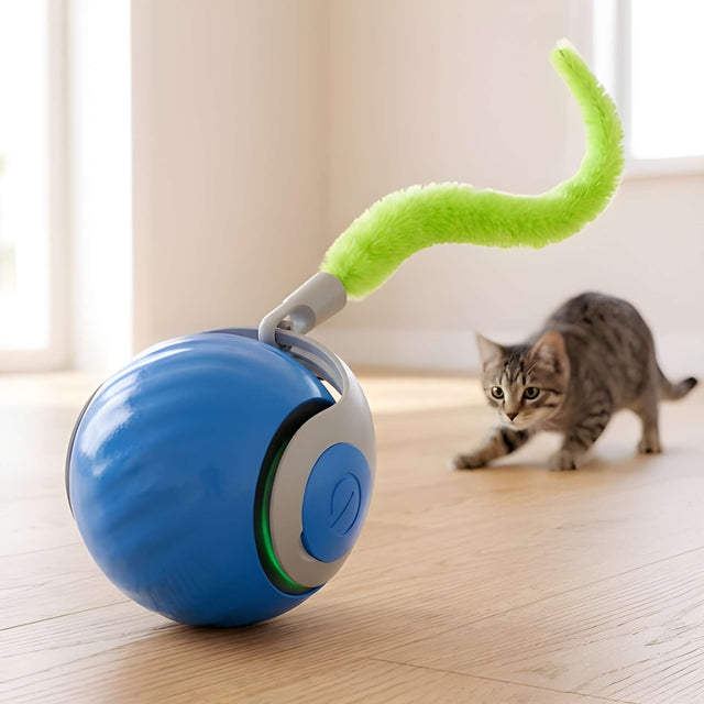 Interactive Rolling Ball - Smart Toy for Kitty