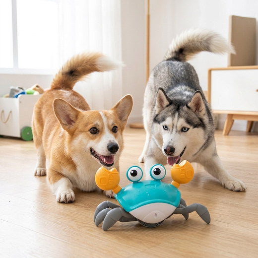 Crawling Crab - Interactive Toy for Pups