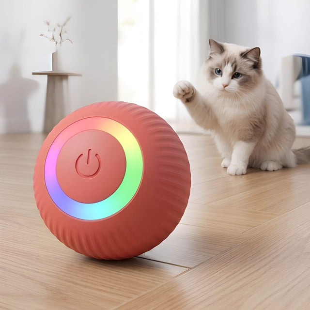 Interactive Cat Ball - Smart Toy for Kitty